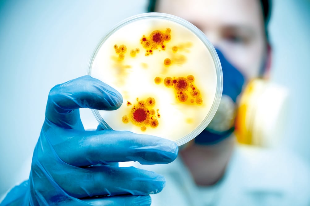 (ARCHIVO. EL UNIVERSAL)