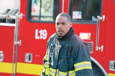 Diversidad entre llamas