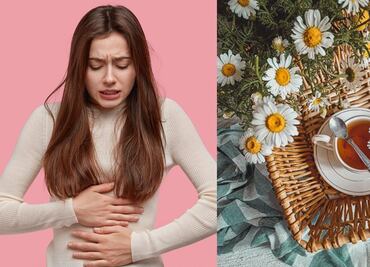 Descubre la planta que alivia los dolores menstruales y disminuye la ansiedad