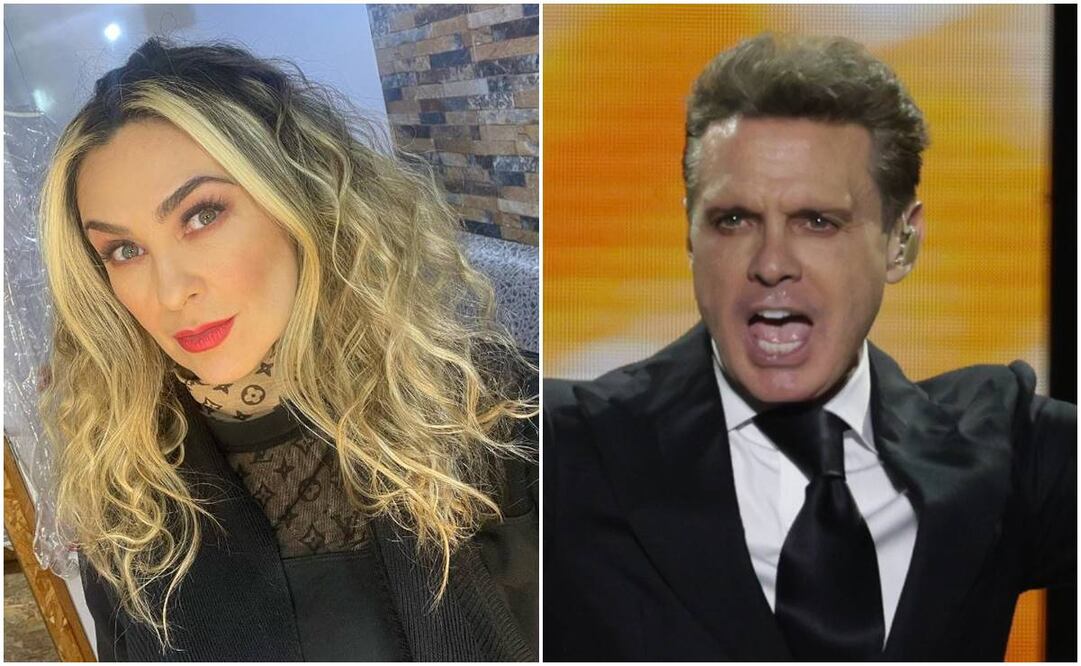 Aracely Arámbula y Luis Miguel son padres de Miguel y Daniel, ambos son muy parecidos a su padre y tienen talento artístico.