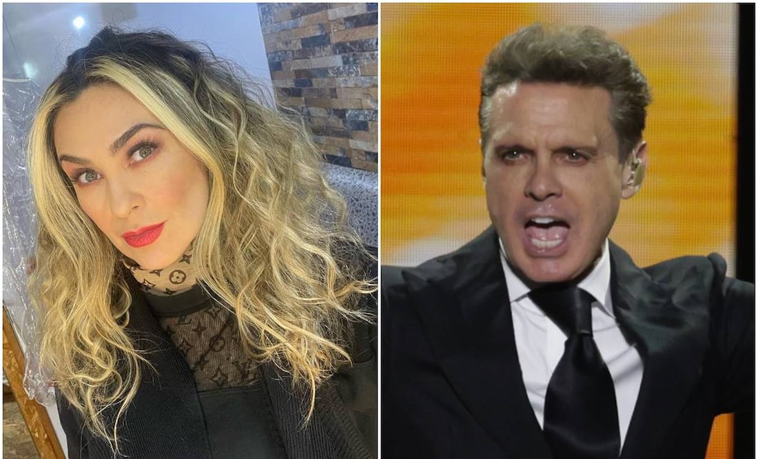Aracely Arámbula y Luis Miguel son padres de Miguel y Daniel, ambos son muy parecidos a su padre y tienen talento artístico.