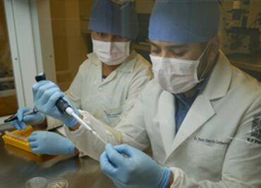 Mexicanos desarrollan banco de células madre a partir de piezas dentales