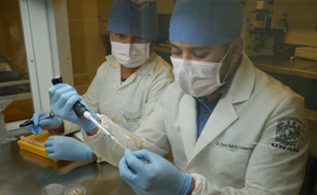 Foto: Agencia informativa Conacyt