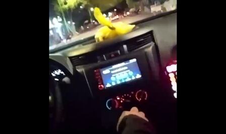 “Malditos le dispararon a mi esposo”: mujer exhibe a policías de Cárdenas, San Luis Potosí, tras supuestamente disparar a un hombre