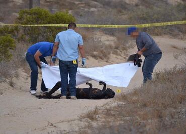 Hallan cuerpo calcinado en Guerrero Negro, BCS