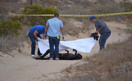 Hallan cuerpo calcinado en Guerrero Negro, BCS