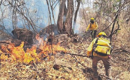"Es como si el bosque gritara pidiendo ayuda"; Bomberos narran el infierno de combatir incendios forestales en Morelos
