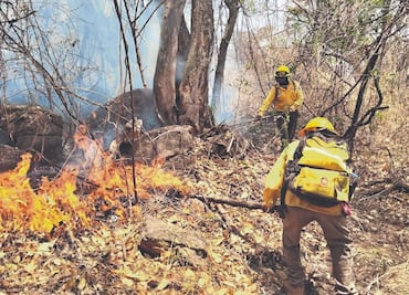 "Es como si el bosque gritara pidiendo ayuda"; Bomberos narran el infierno de combatir incendios forestales en Morelos