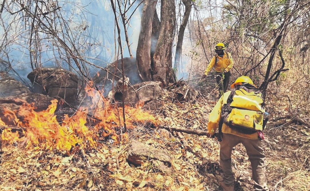 El incendio forestal del paraje Las Tirolesas, en el Pueblo Mágico de Tepoztlán, Morelos, superó las mil 200 hectáreas afectadas. Foto Especial