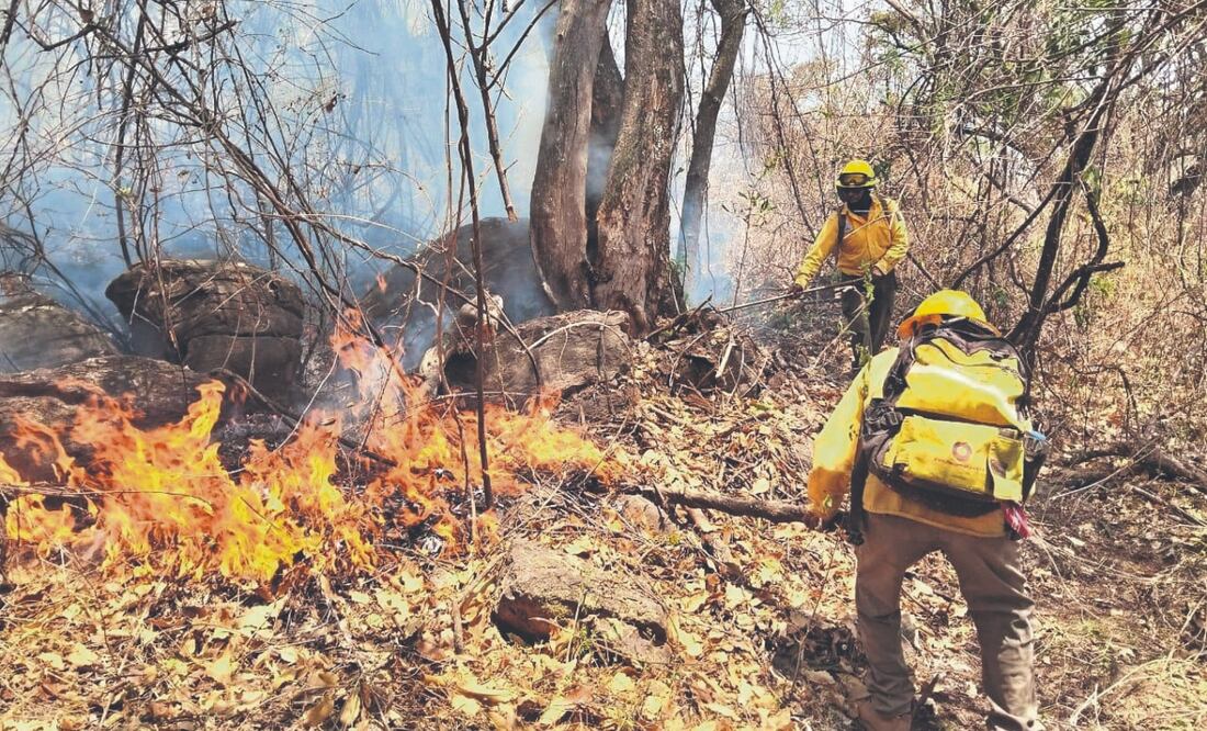 El incendio forestal del paraje Las Tirolesas, en el Pueblo Mágico de Tepoztlán, Morelos, superó las mil 200 hectáreas afectadas. Foto Especial