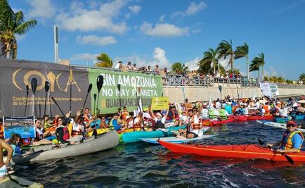 Demandan protección de Tajamar y la selva amazonica en Cancún
