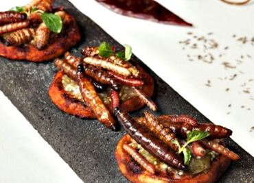 ¿Estás preparado para el Festival de insectos comestibles?