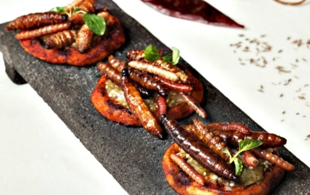 Los insectos comestibles han estado presentes en la gastronomía de los mexicanos desde antes de la conquista \ Foto: Archivo El Universal