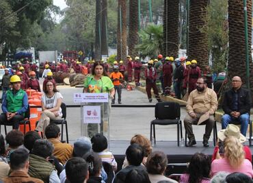 Retirarán mil 500 palmeras enfermas en CDMX; serán sustituidas por árboles nativos