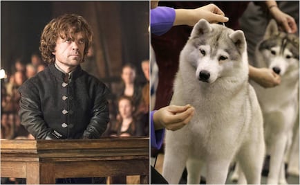 Actor de "Game of Thrones" pide responsabilidad a fans que compran huskies