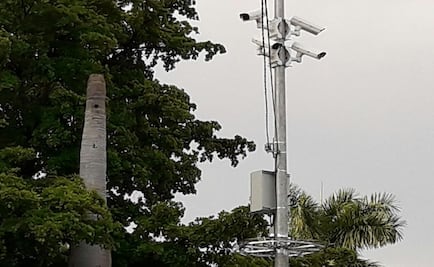 Colocan anillos electrificados para evitar robo de cámaras en Sinaloa