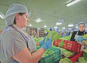 Pandemia, crisis y políticas abruman al campo, denuncia CNA