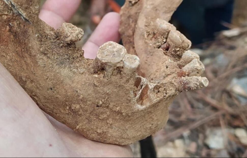 Hallan vestigios de la nobleza zapoteca en antigua tumba en Ixtlán, Oaxaca