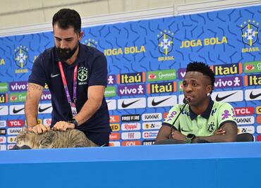 Brasil causa controversia por sacar 'violentamente' a gato que se coló en conferencia de prensa