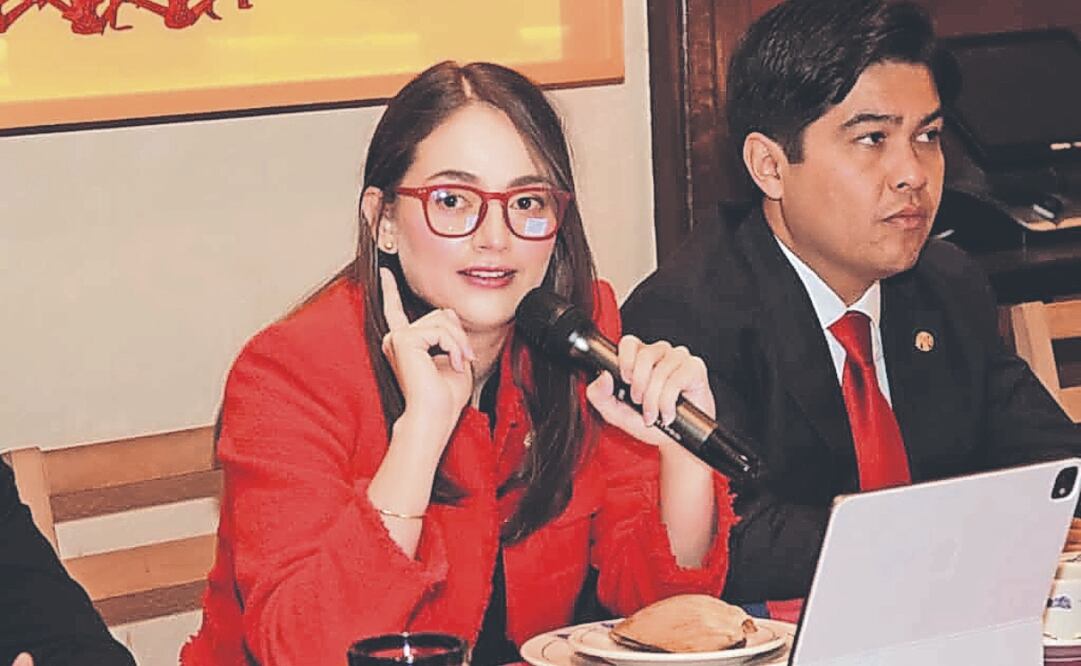 En conferencia, Tania Larios dijo que el PRI se abre a las alianzas, pero están listos para ir solos. Foto Especial