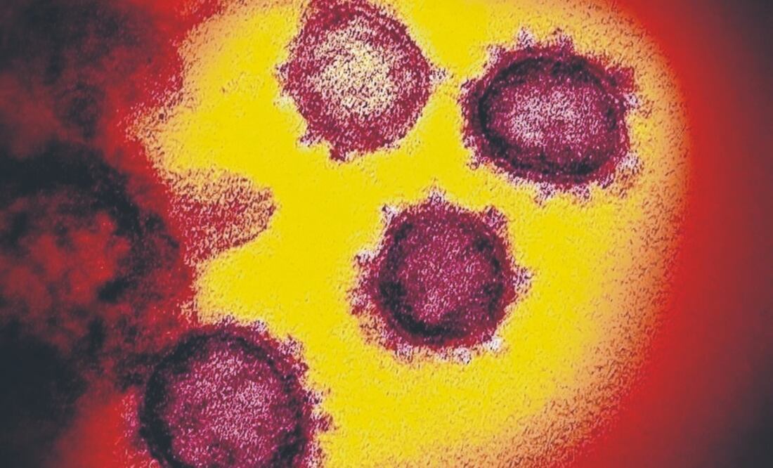 Foto: Archivo/EL UNIVERSAL