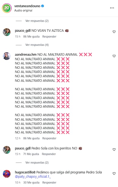 Declaraciones de Pedro Sola sobre los perros genera ola de críticas en las redes de "Ventaneando".