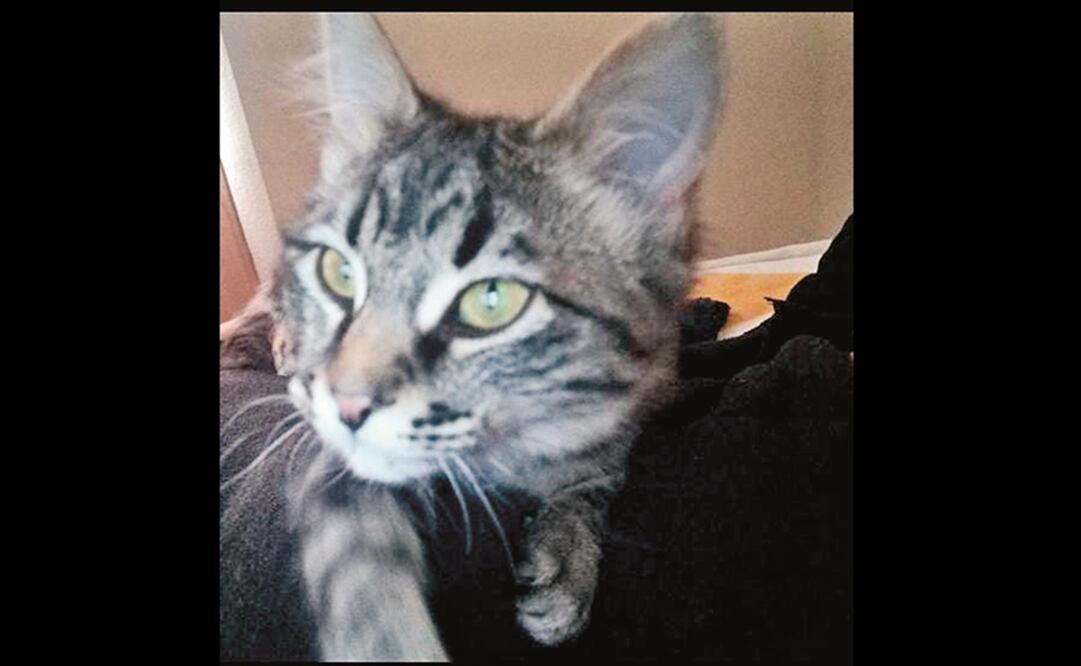 La familia de Ginny interpuso una denuncia ante la fiscalía estatal para que se investigue el hecho. Foto: ESPECIAL