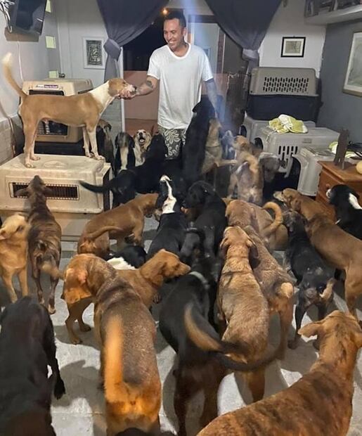 "Necesitamos manos", dice hombre que resguardó a 300 perros por "Delta"