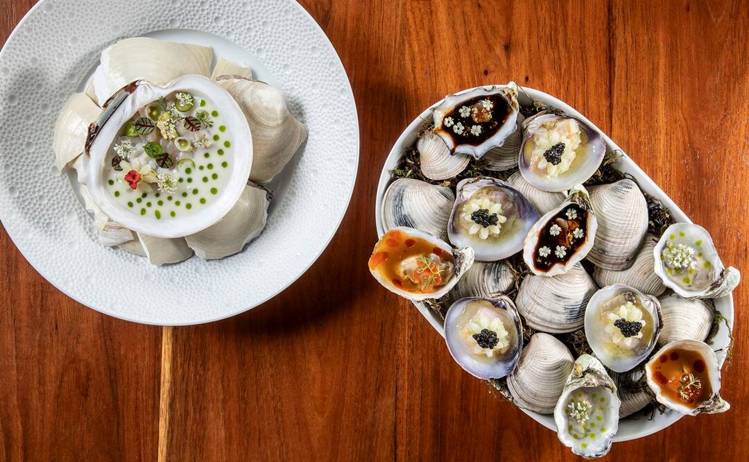 Conoce más sobre la pesca mexicana sustentable. Foto: Jorge Garaiz en Restaurante Octavia