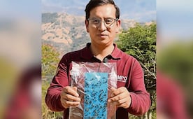 Alerta en Teoloyucan por cuatro casos de gusano barrenador