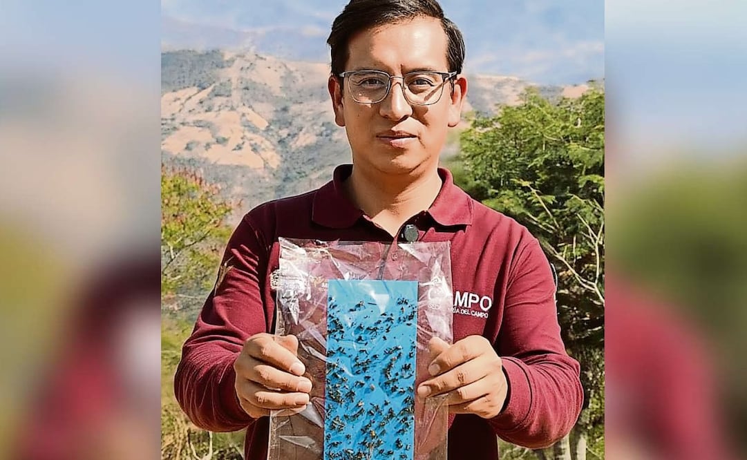 La Dirección del Campo informó que los casos corresponden a tres ovinos y un perro. Foto: Especial