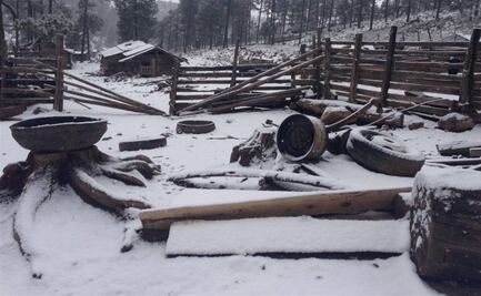 ¿Dónde queda "el congelador de México"? Localidad que ha alcanzado -18 grados bajo cero