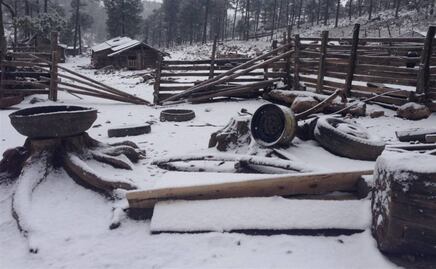 ¿Dónde queda "el congelador de México"? Localidad que ha alcanzado -18 grados bajo cero