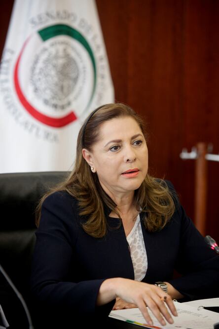 Calderón recibió a McCain, que también quería un muro: Graciela Ortiz