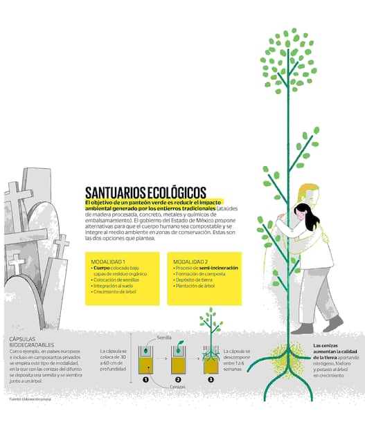 Infografía: Ani Cortés