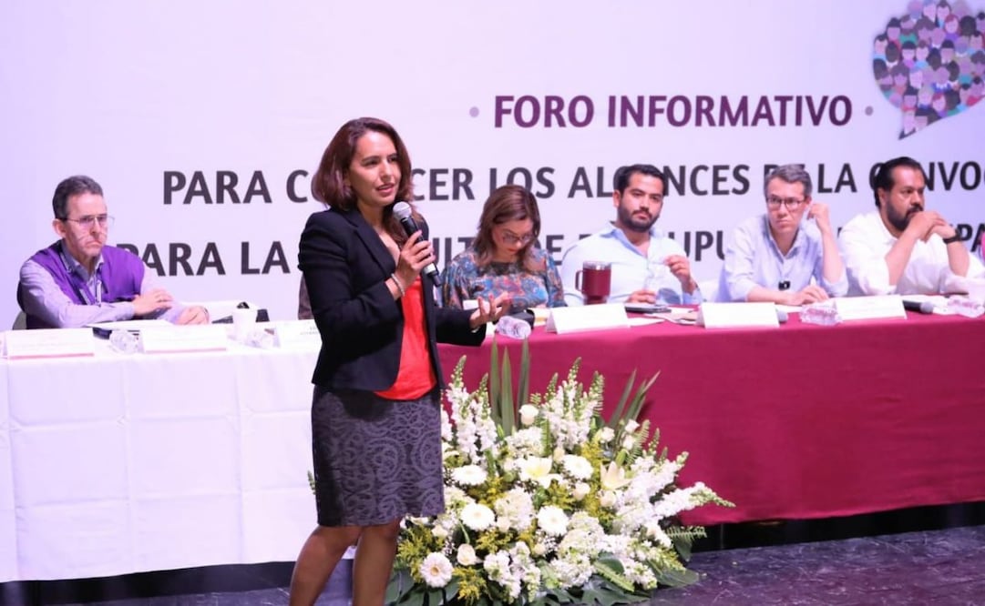 Destacan sencillez para registrar proyectos de consulta de Presupuesto Participativo (26/03/2025). Foto: Especial