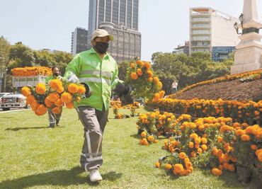 Impulsan venta de flor de cempasúchil