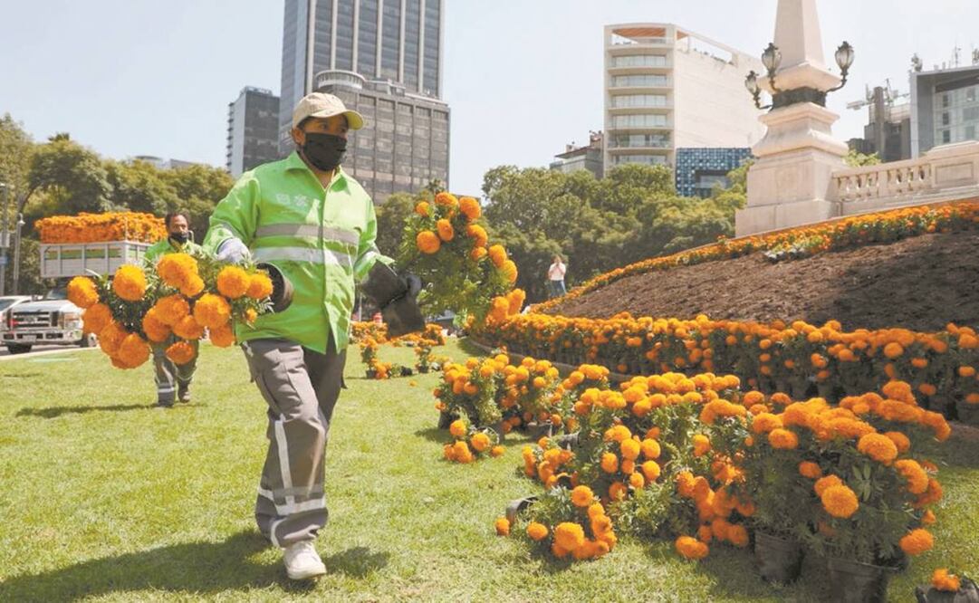 Como parte de la temporada de Día de Muertos, avenidas de la capital comienzan a ser decoradas con flores de cempasúchil. Foto: Especial.