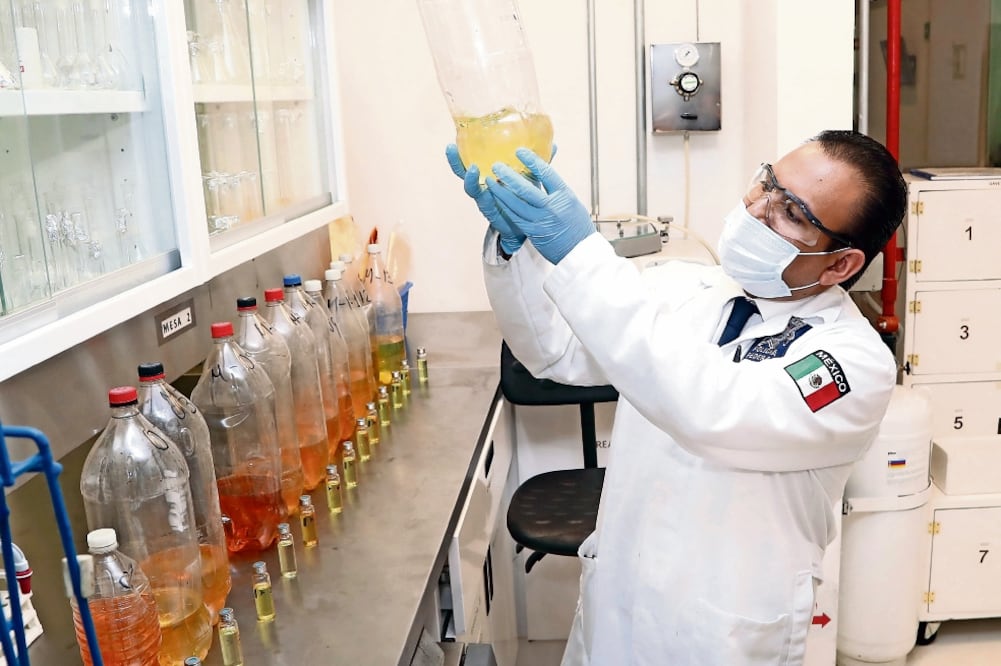 La Dirección de Química y Toxicología Forense de la Policía Federal analizó las 13 muestras (BERENICE FREGOSO)