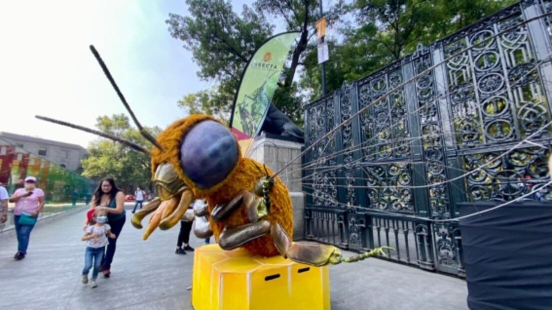 Inauguran INSECTA en el Jardín Botánico del Bosque de Chapultepec