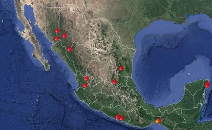 Conafor registra 14 incendios forestales activos en nueve estados