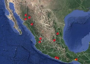 Conafor registra 14 incendios forestales activos en nueve estados