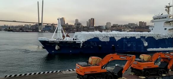 Buque de carga llega a puerto con un lote de autos congelados