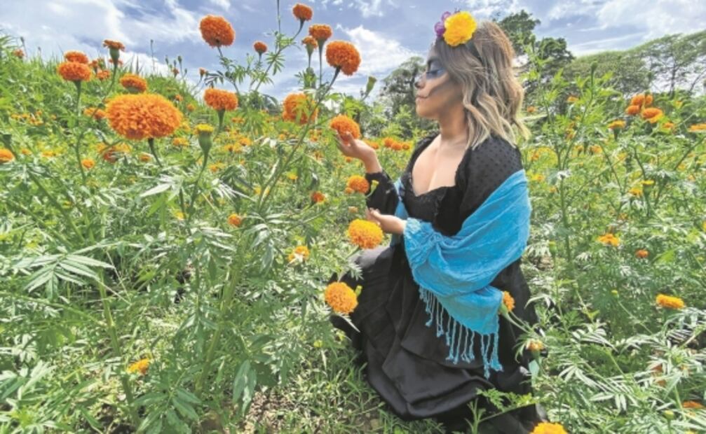 Catrinas guían recorridos en campos de cempasúchil