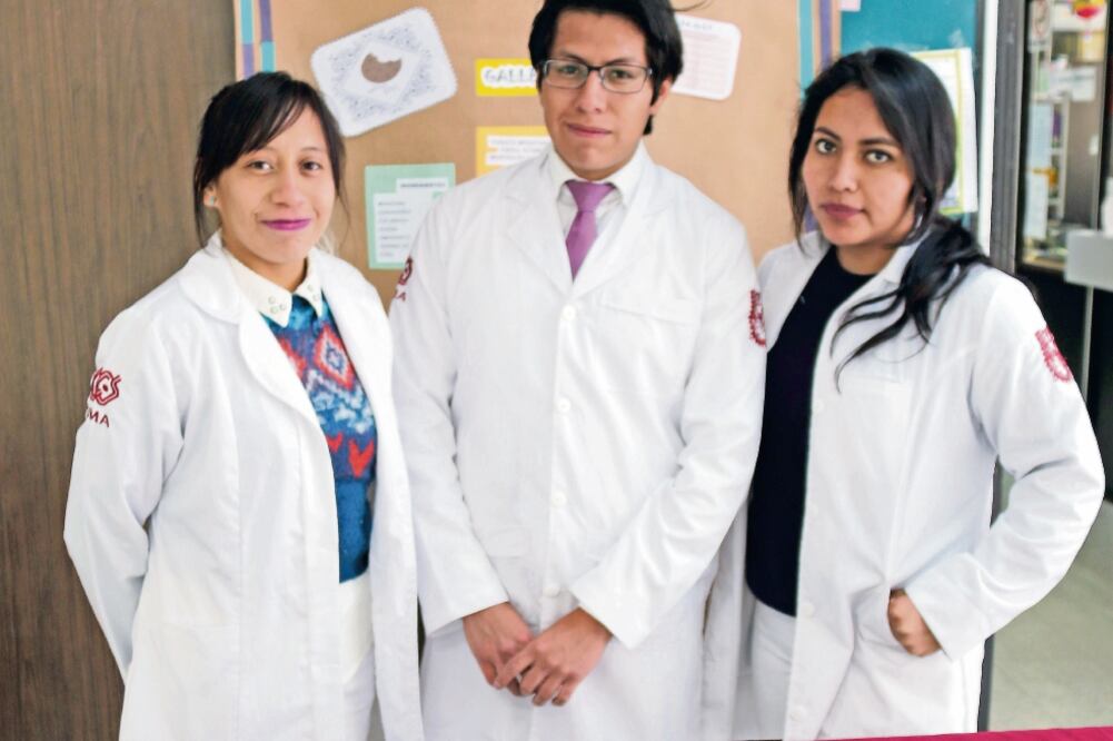 Alimento innovador. La galleta contiene 1.2 gramos de fibra, 2.4 gramos de proteína, 55 calorías y vitamina A, B y C. (cortesía)