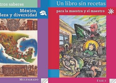 “Crimen de lesa humanidad, ignorar las matemáticas”, señala experto