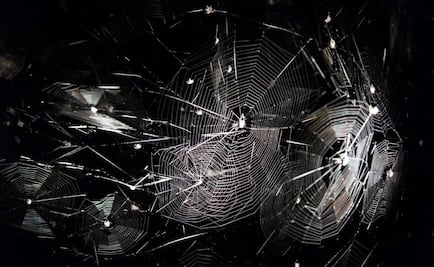 Tomás Saraceno crea la telaraña más grande del mundo