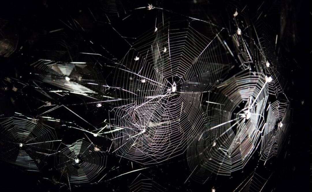 La obra de Saraceno cubre un área de 190 metros cuadrados y forma parte de la muestra "Cómo enredar el universo en una telaraña". Foto: http://tomassaraceno.com/