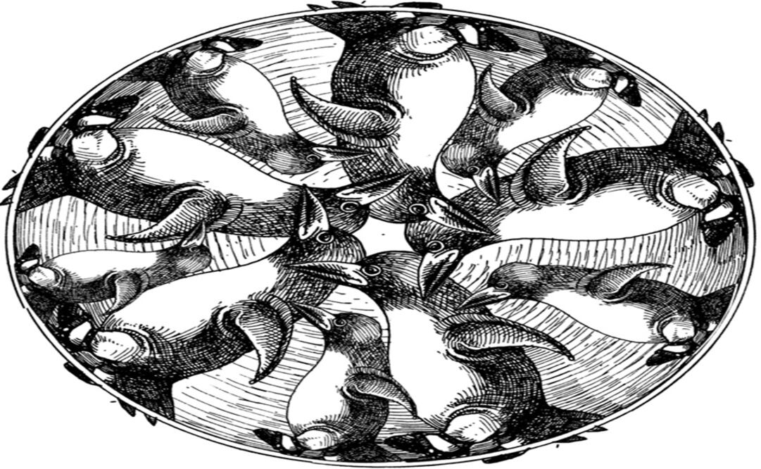 El Papa Pancho persigna pingüinos