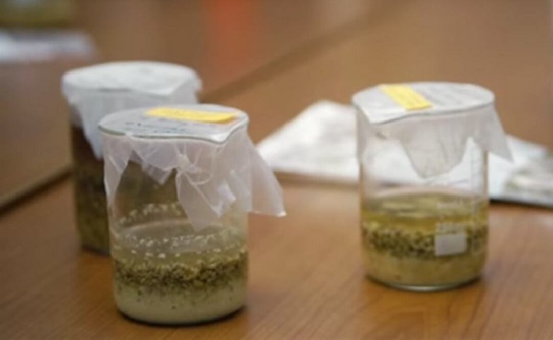 (FOTO: Standford University)